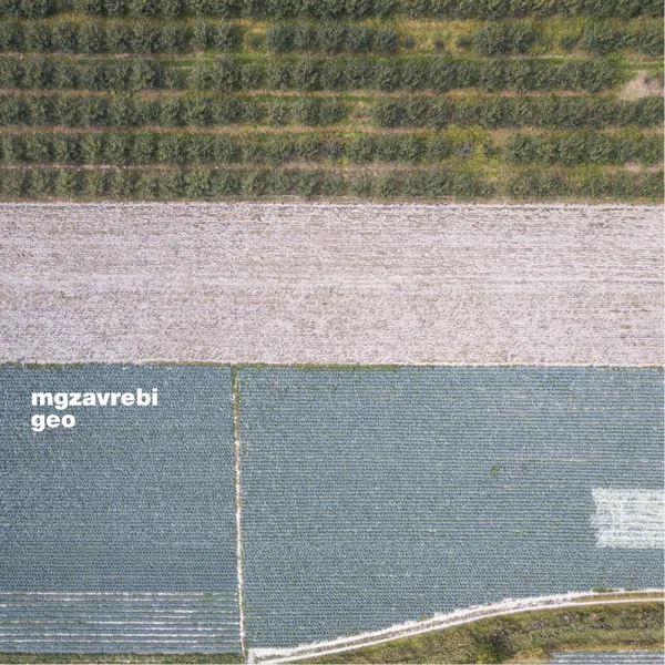 Artwork for Mgzavrebi - Geo